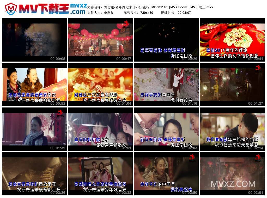 刘志鹏-猪年好运来_国语_流行_MD301148